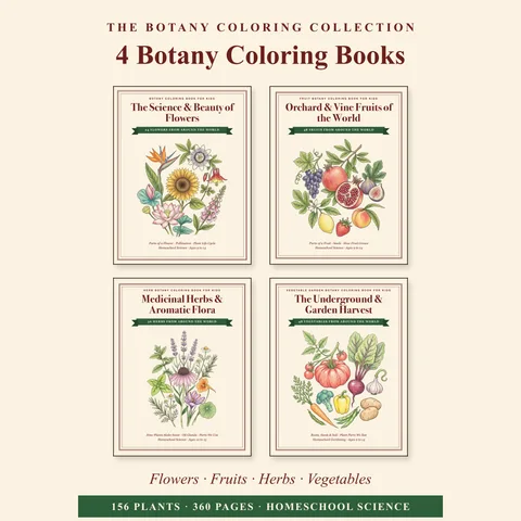 Botanical Coloring Book Bundle for Kids, Flower, Fruit, Vegetable & Herb Coloring Pages, Plant Life Cycle, Homeschool Science printable coloring book