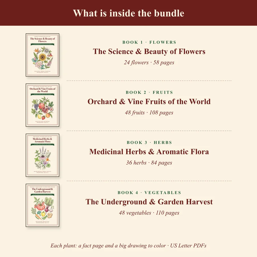Botanical Coloring Book Bundle for Kids, Flower, Fruit, Vegetable & Herb Coloring Pages, Plant Life Cycle, Homeschool Science — etsy 02 inside