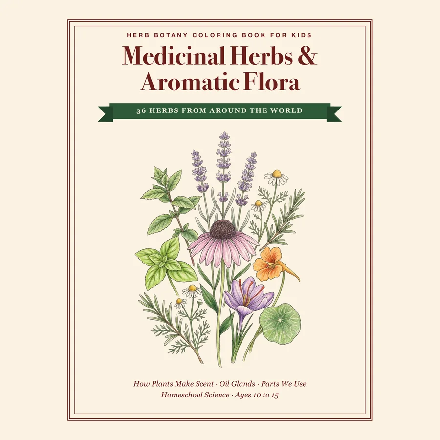 Medicinal Herbs & Aromatic Flora — etsy 01 cover