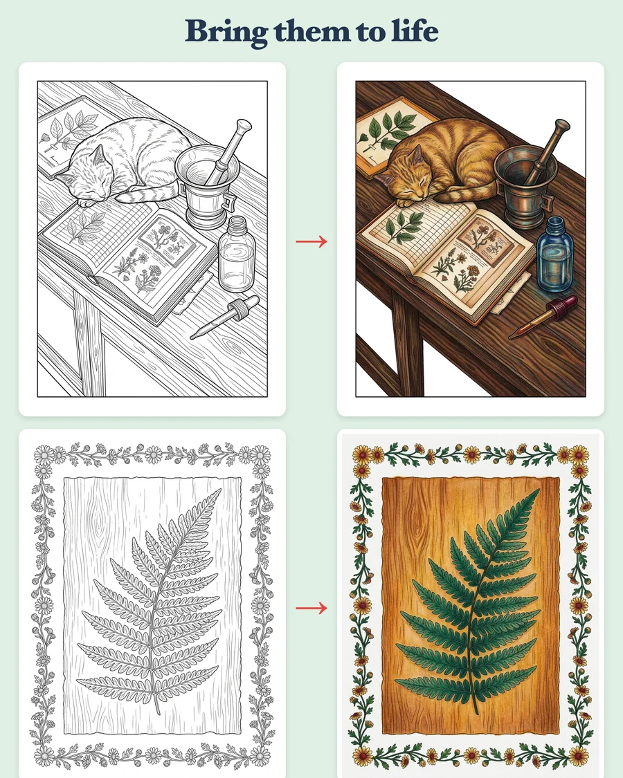 Magical Apothecary — colored examples